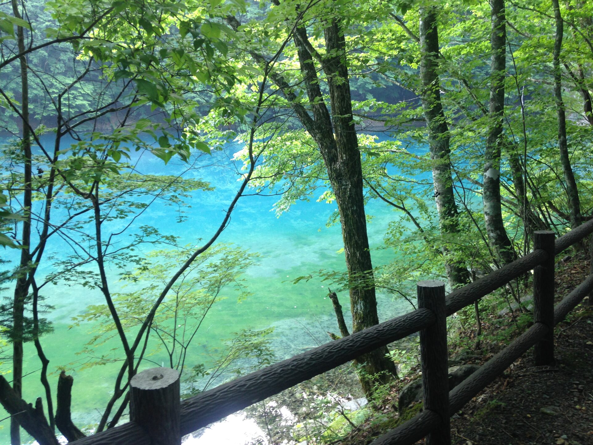 vol.1：一杯の水から、山を見る【環境DNA】